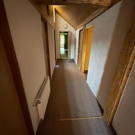 Stara Skola Vikantice