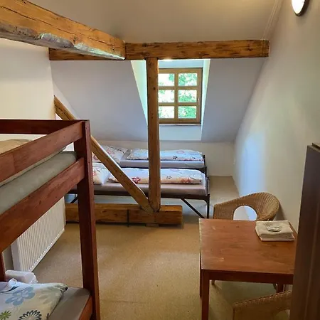 Guest house Stara Skola Vikantice